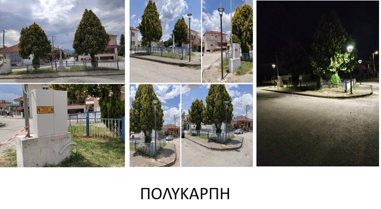 ΠΟΛΥΚΑΡΠΗ